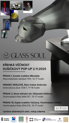 Snímek obrazovky 2026-05-01 155530